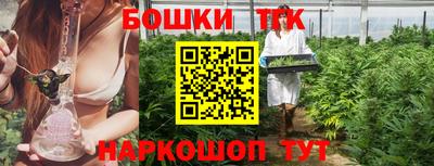 тгк Аргун