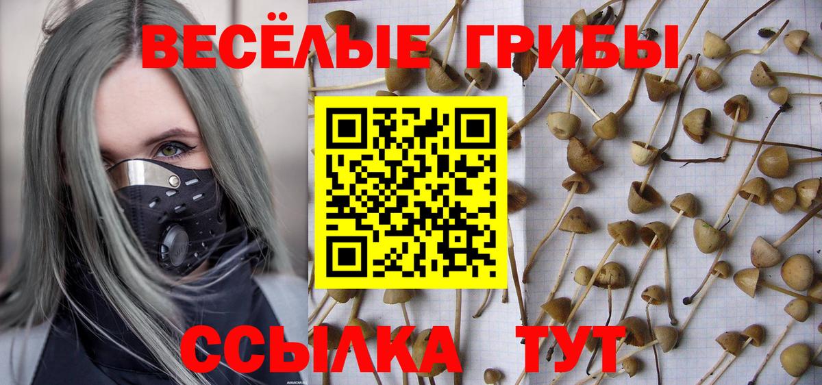 Бор  Псилоцибиновые грибы ЛСД  купить наркотик  Вход с VPN 